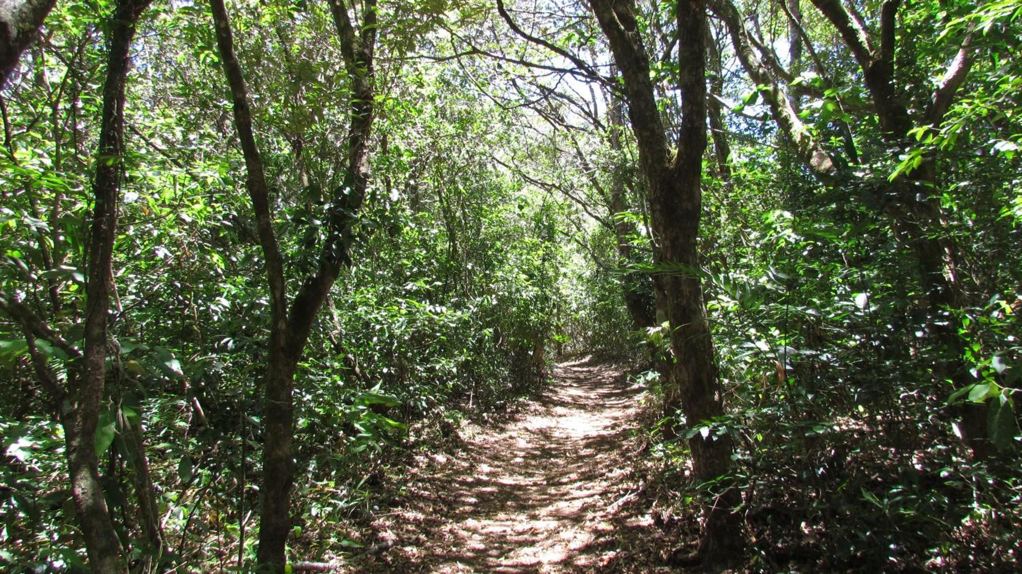 Santuario Ecologico Monteverde Exterior photo